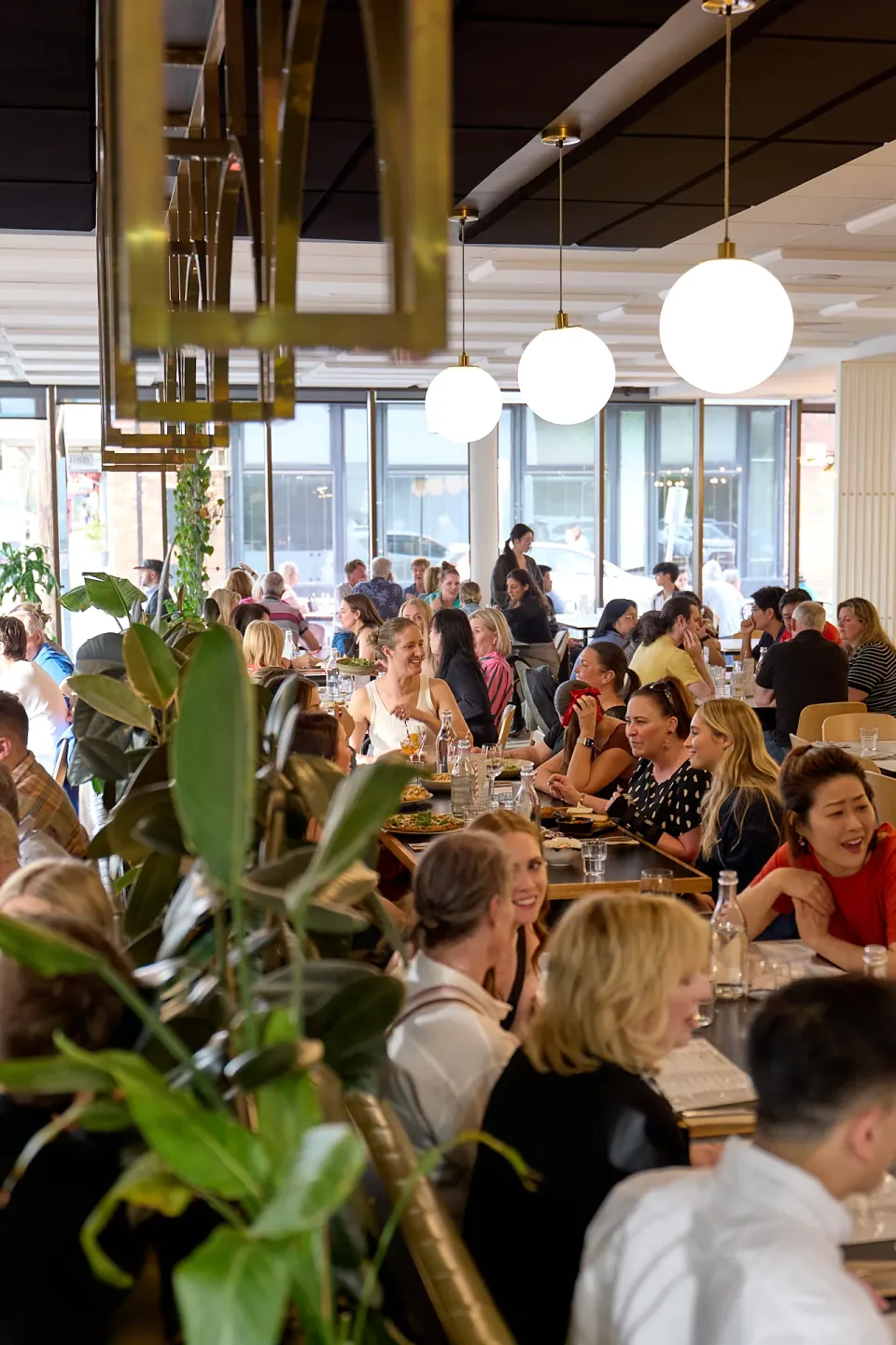 Guests dining beneath globe lights at Julia’s in Ringwood North